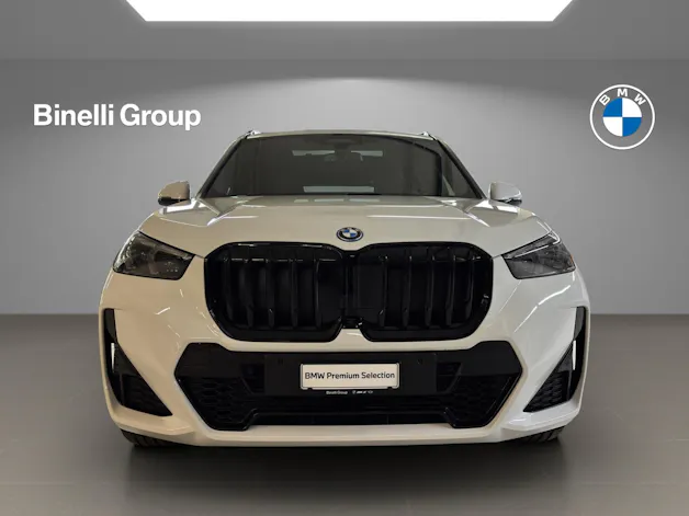 BMW X1 30e xDrive paddles