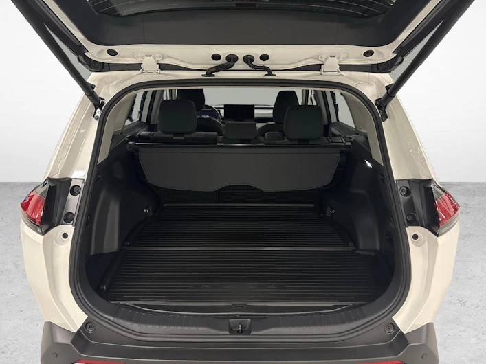 Fahrzeugbild TOYOTA RAV-4