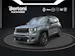 Jeep Renegade 1.3 S 4xe