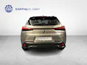 Lexus UX 300h F-Line