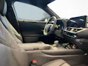 Lexus UX 300h F-Line