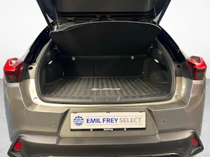 Lexus UX 300h F-Line
