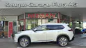 Nissan X-Trail 1.5 VC-T Tekna+ e-4orce 20 Zoll