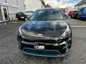 Kia e Niro 39.2 kWh Trend