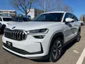Škoda Kodiaq 2.0 TSI Dynamic 4x4 DSG