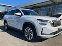 Škoda Kodiaq 2.0 TSI Dynamic 4x4 DSG