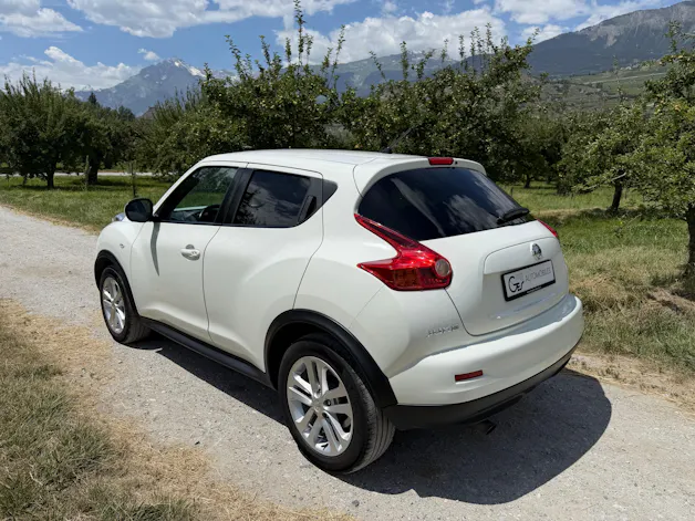 Nissan Juke 1.6 DIG-T tekna 4x4 Xtronic M-CVT