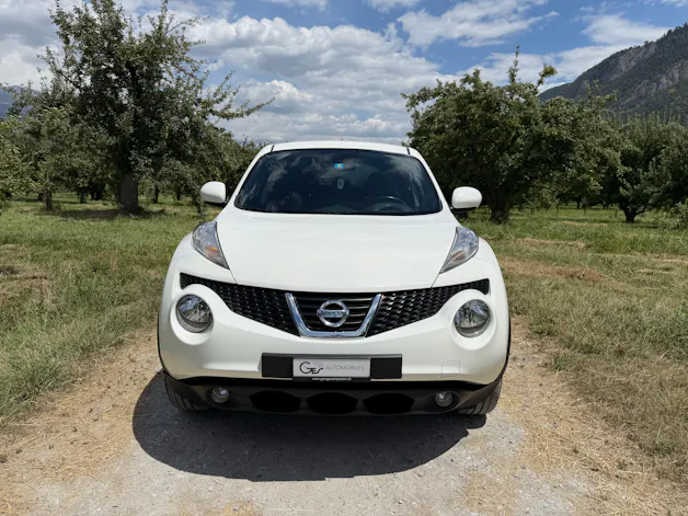 Nissan Juke 1.6 DIG-T tekna 4x4 Xtronic M-CVT