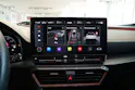 Cupra Formentor 2.0TSI VZ 4Drive DSG 5-Jahre Garantie