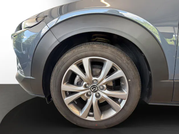 Mazda CX-30 G 150 Exc. Line AT