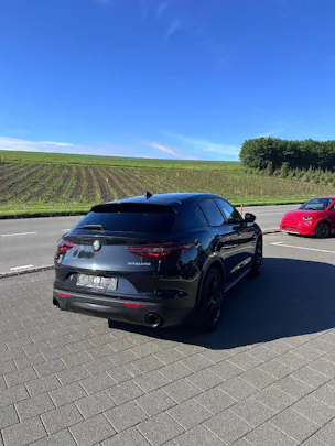 Alfa Romeo Stelvio 2.2 D Q4 190 Sprint