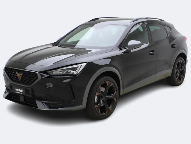 Cupra Formentor 2.0 TSI DSG 4Drive