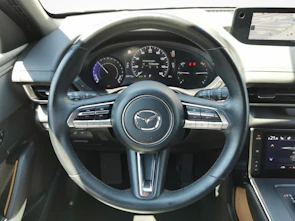 Fahrzeugbild MAZDA MX-30 e-Skyactiv Revolution