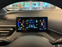 BYD Dolphin Surf Boost