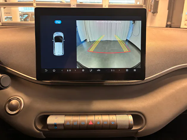 BYD Dolphin Surf Boost