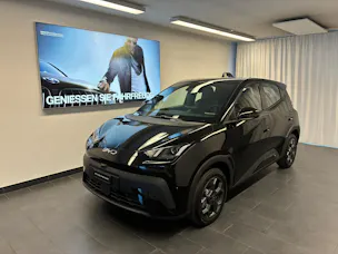 BYD Dolphin Surf Boost