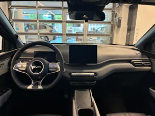 BYD Dolphin Surf Boost