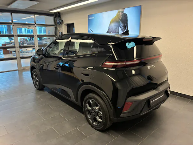 BYD Dolphin Surf Boost