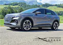 Audi Q4 e-tron 45 Edition Swiss Ski quattro *inkl. Winterkomplettrad + Garantie*