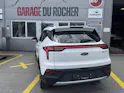 JAC e-JS4 Electric