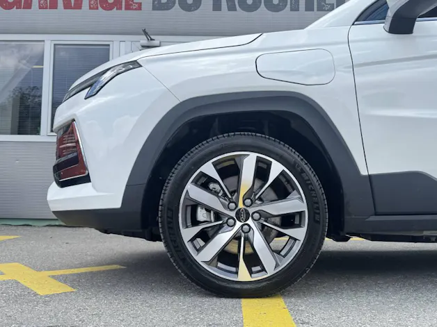 JAC e-JS4 Electric