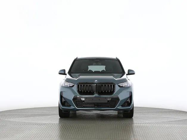 BMW X1 23i xDrive paddles
