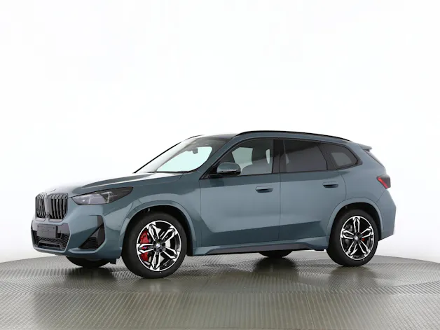 BMW X1 23i xDrive paddles