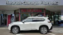 Nissan X-Trail 1.5 VC-T Tekna+ e-4orce 20 Zoll