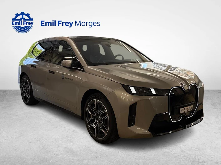Fahrzeugbild BMW iX