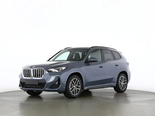 BMW X1 23i xDrive paddles