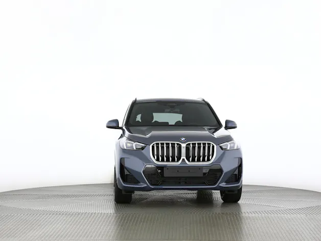 BMW X1 23i xDrive paddles
