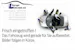 Ford Transit C Van 290 L1 2.0 TDCi 105 Trend