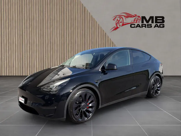 Tesla Model Y Performance