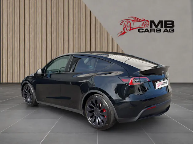 Tesla Model Y Performance