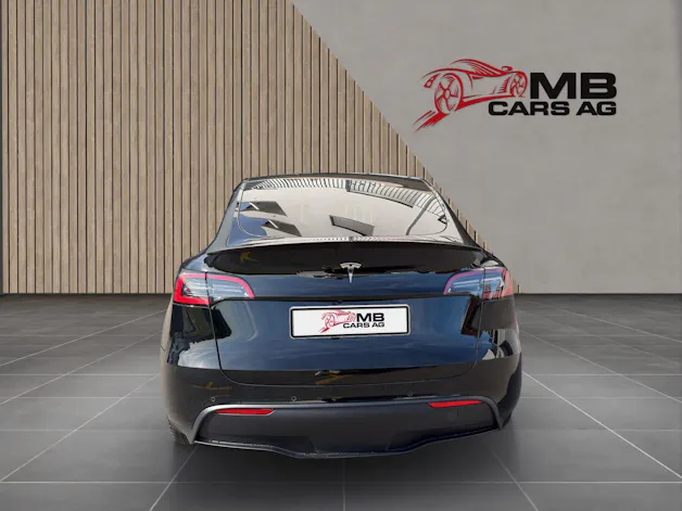 Tesla Model Y Performance