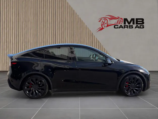 Tesla Model Y Performance
