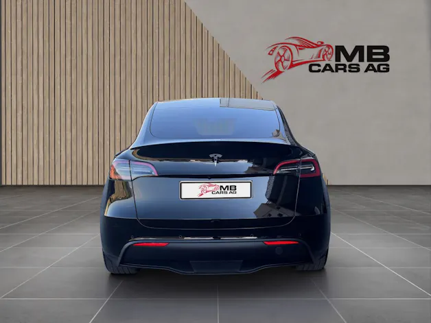 Tesla Model Y Performance