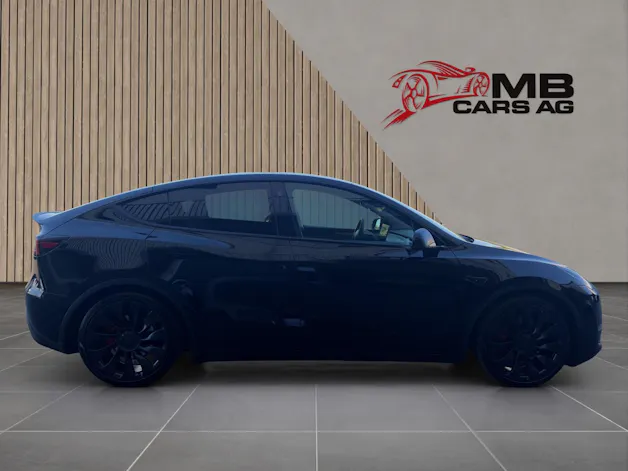 Tesla Model Y Performance
