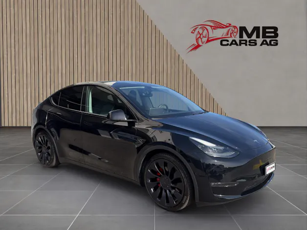 Tesla Model Y Performance