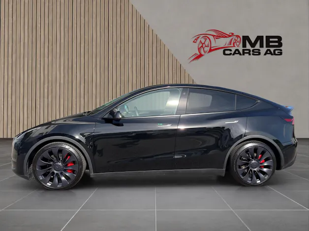 Tesla Model Y Performance