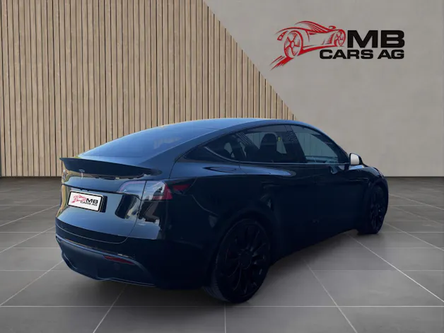 Tesla Model Y Performance