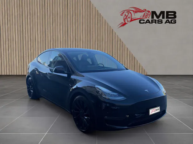 Tesla Model Y Performance