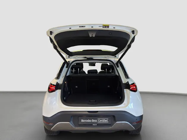 Smart #1 Premium