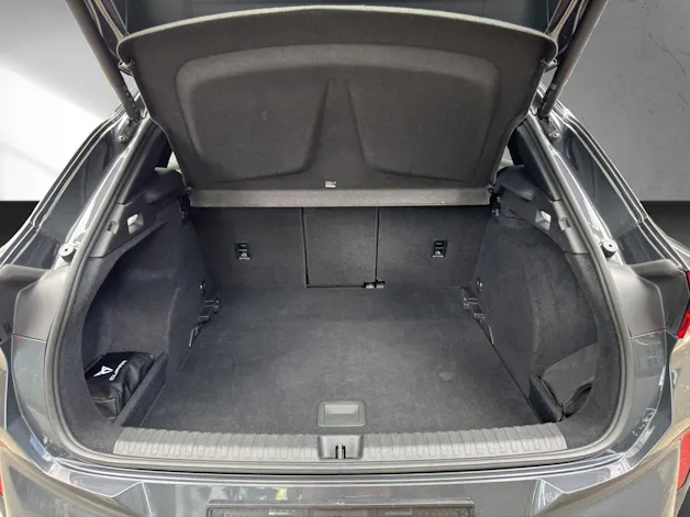 Cupra Terramar 2.0 TSI DSG 4Drive VZ