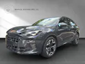 Cupra Terramar 2.0 TSI DSG 4Drive VZ