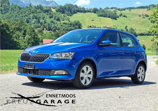 Škoda Fabia 1.0 TSI Ambition *ab MFK+8-fach bereift*