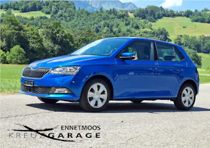 Škoda Fabia 1.0 TSI Ambition *ab MFK+8-fach bereift*