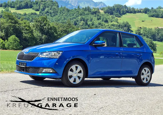 Škoda Fabia 1.0 TSI Ambition *ab MFK+8-fach bereift*