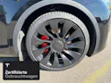 Tesla Model Y Performance