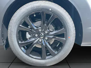 Mazda CX-30 SKYACTIV-X 186 M Hybrid Homura AWD AT